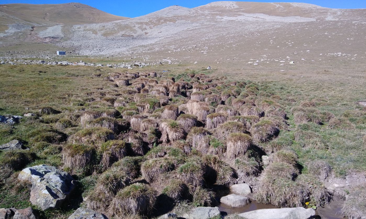 Гора Патара Абули, image of landscape/habitat.