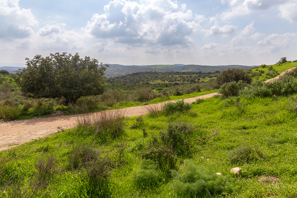 Мареша, image of landscape/habitat.