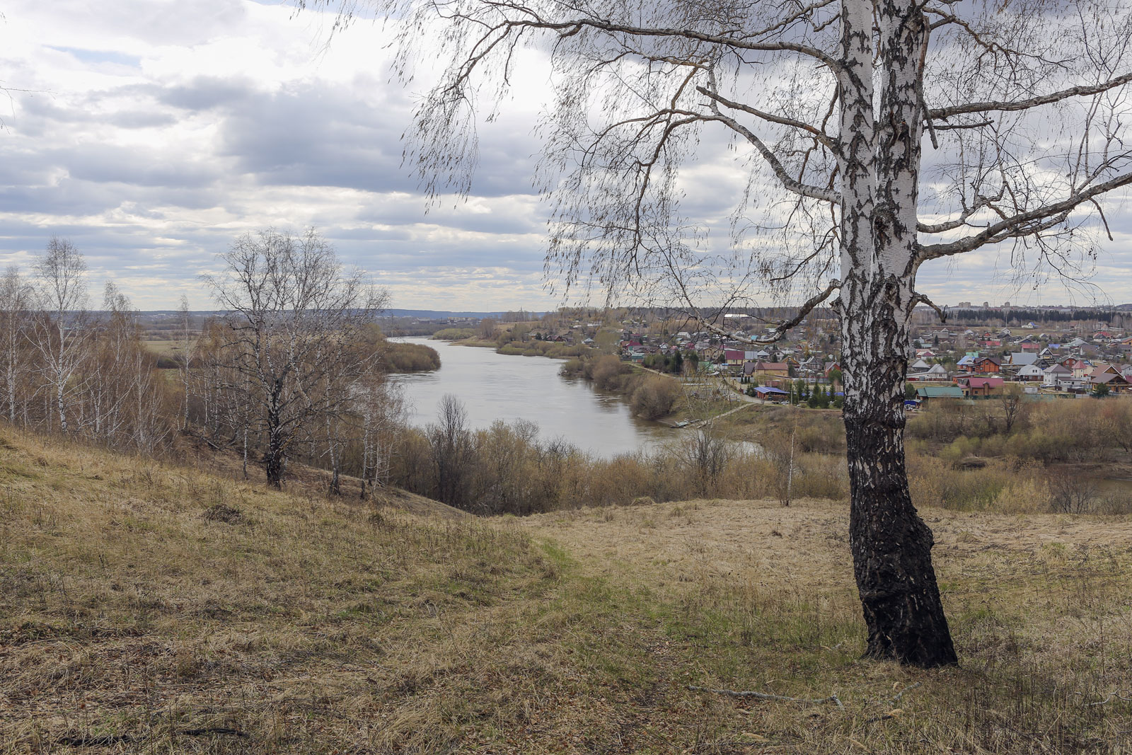 Спасская гора и её окрестности, image of landscape/habitat.