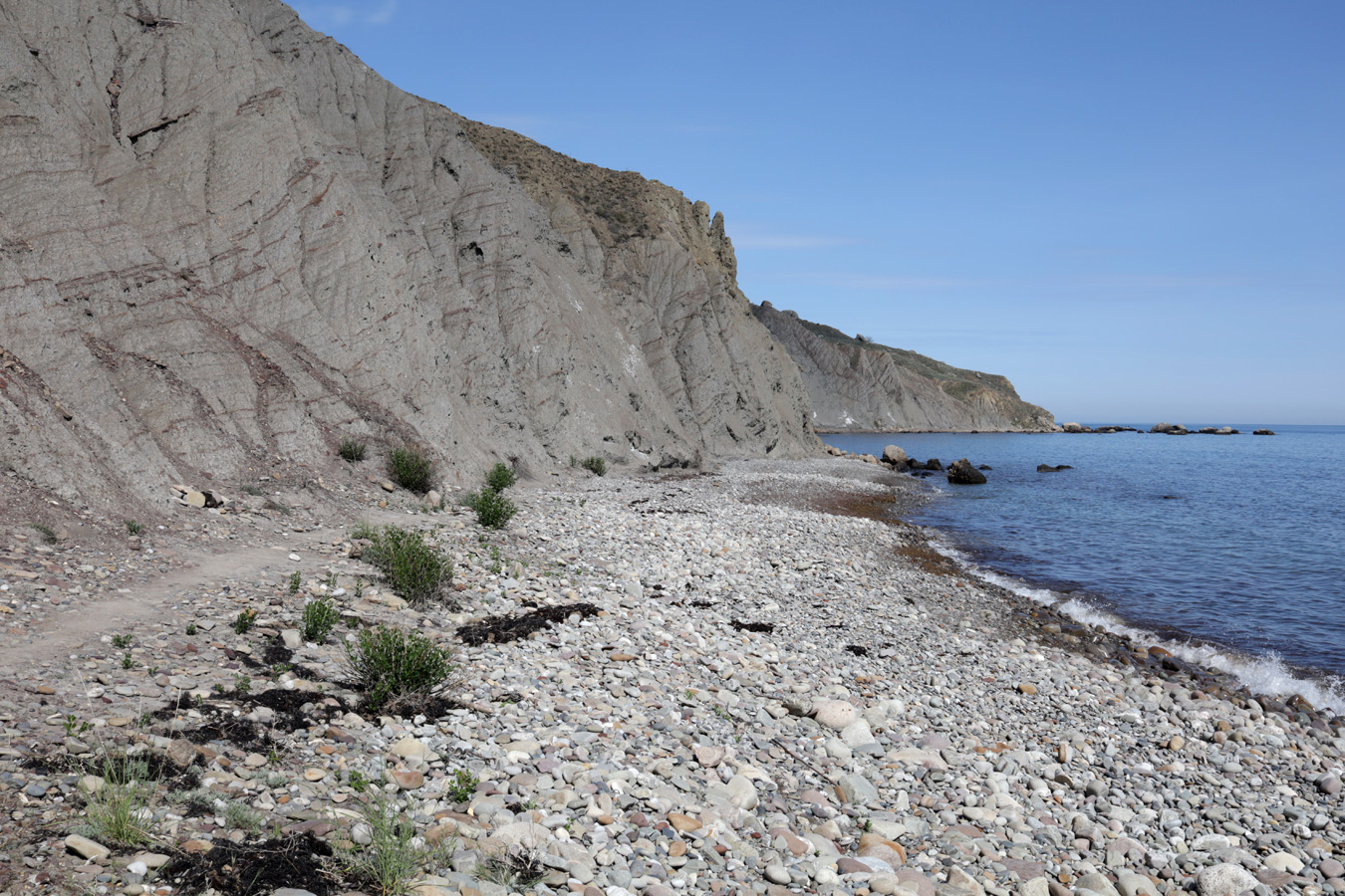 Лисья бухта, image of landscape/habitat.