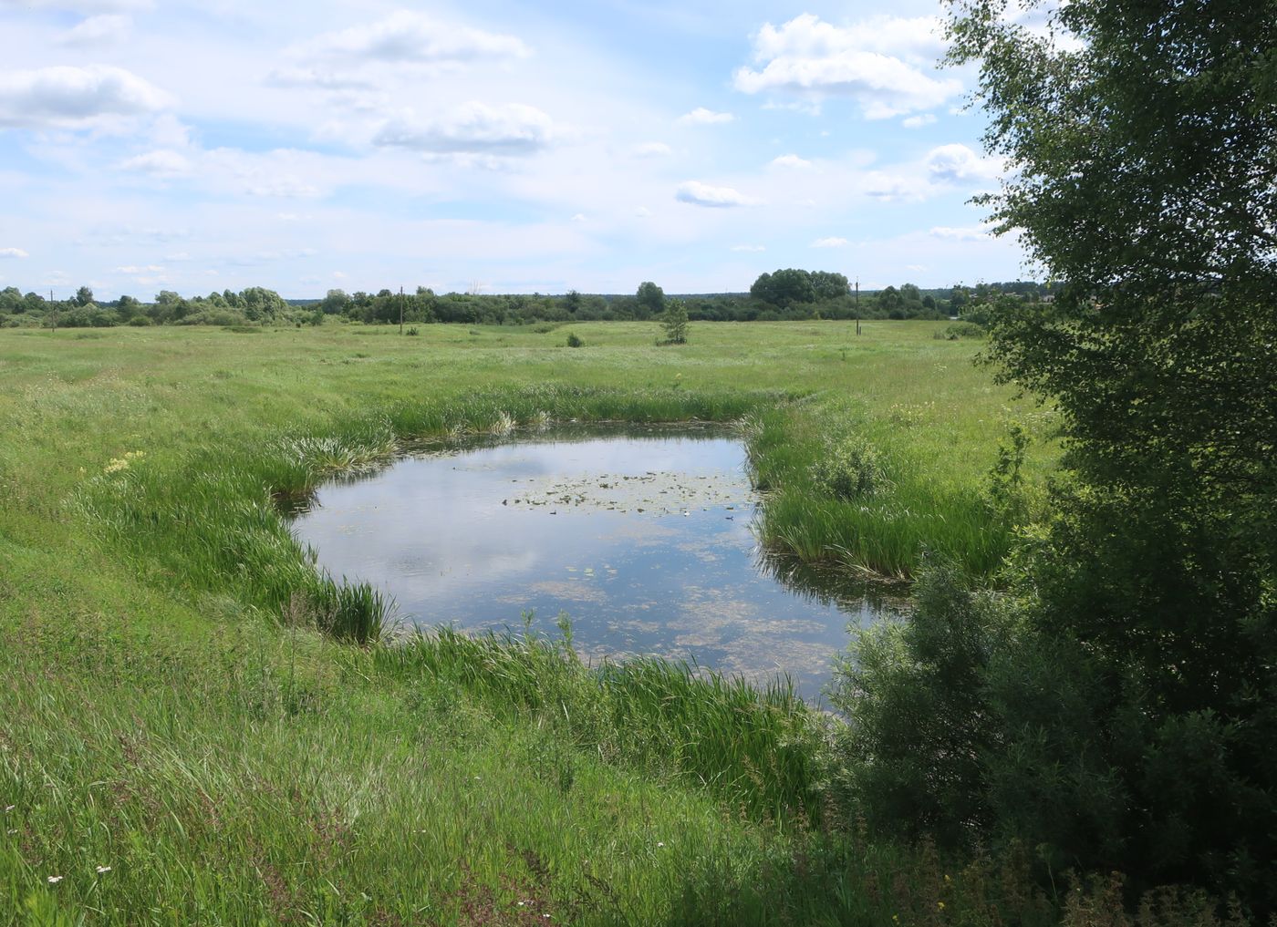 Дуденёвский заказник и р. Тьма, image of landscape/habitat.