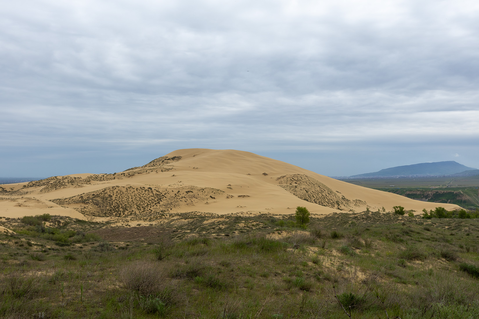 Бархан Сарыкум, image of landscape/habitat.