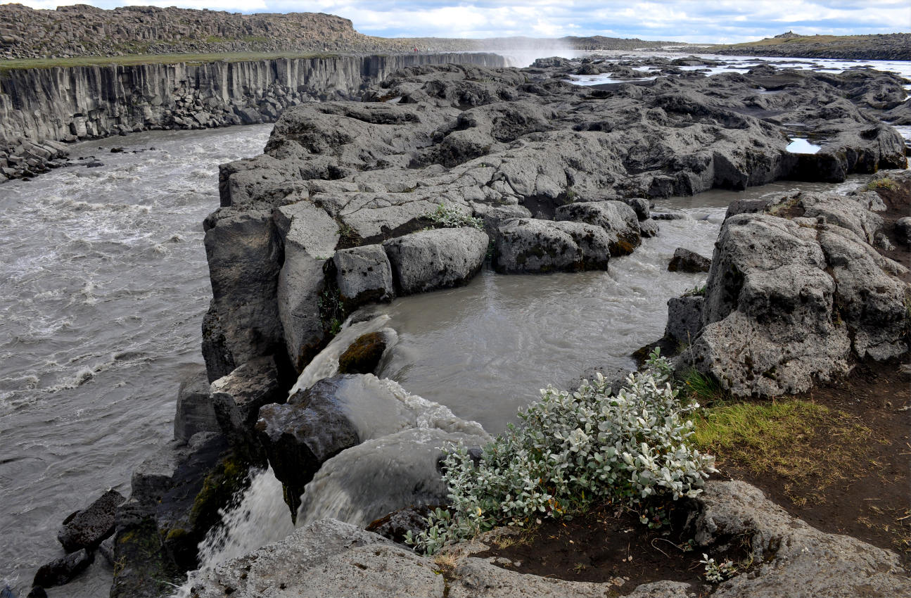 Ватнайокюдль (север), image of landscape/habitat.