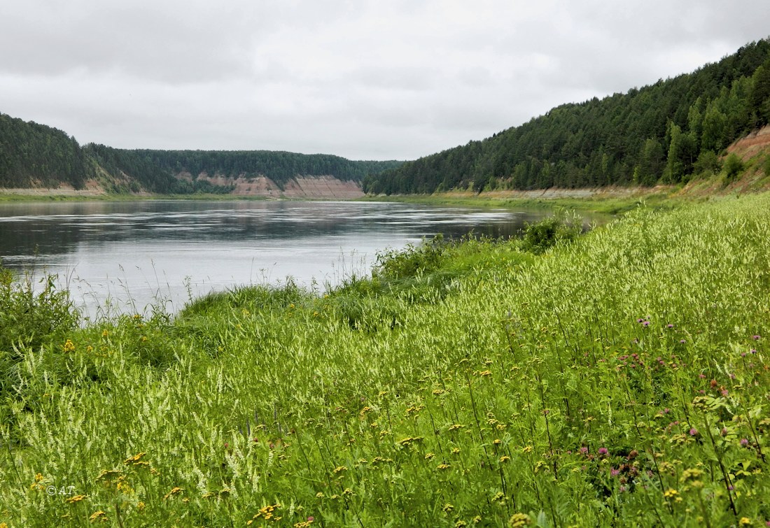 Устье Стрельны, image of landscape/habitat.