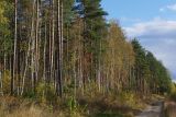 Image of landscape