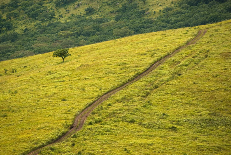 Полуостров Гамова, image of landscape/habitat.