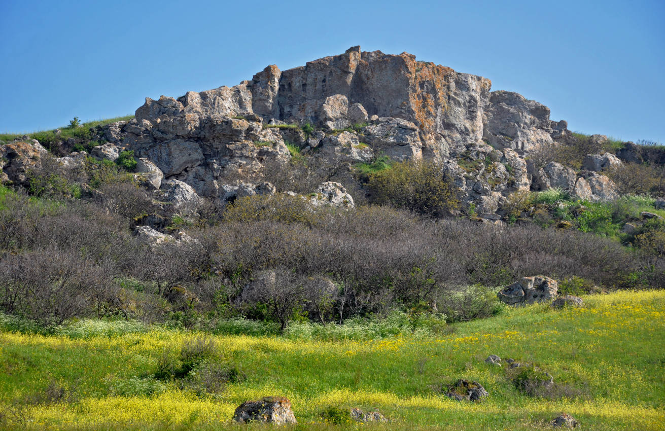 Бухта Шелковица и окрестности, image of landscape/habitat.