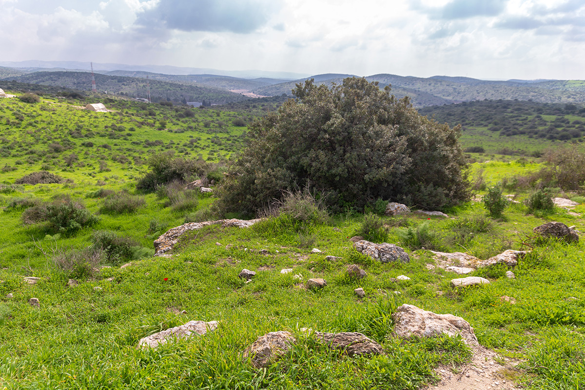 Мареша, image of landscape/habitat.