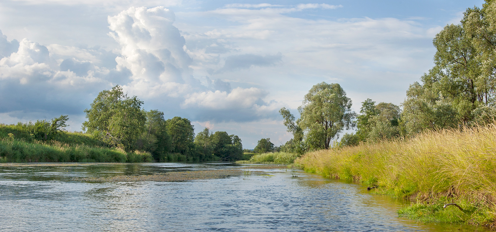 Окрестности Черновского, image of landscape/habitat.