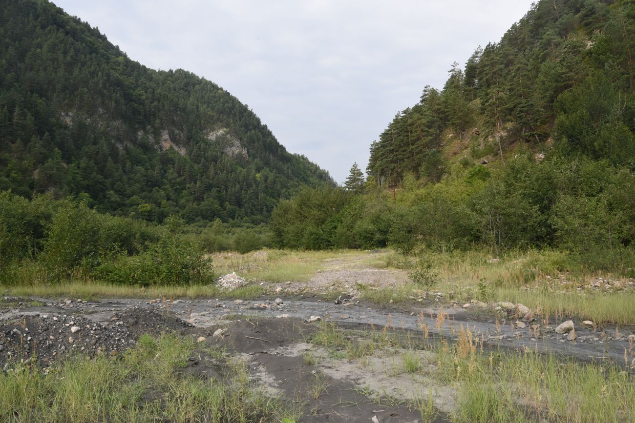 Окрестности устья реки Кенхи, image of landscape/habitat.