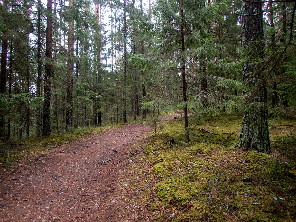 Заказник "Голубые озёра", image of landscape/habitat.