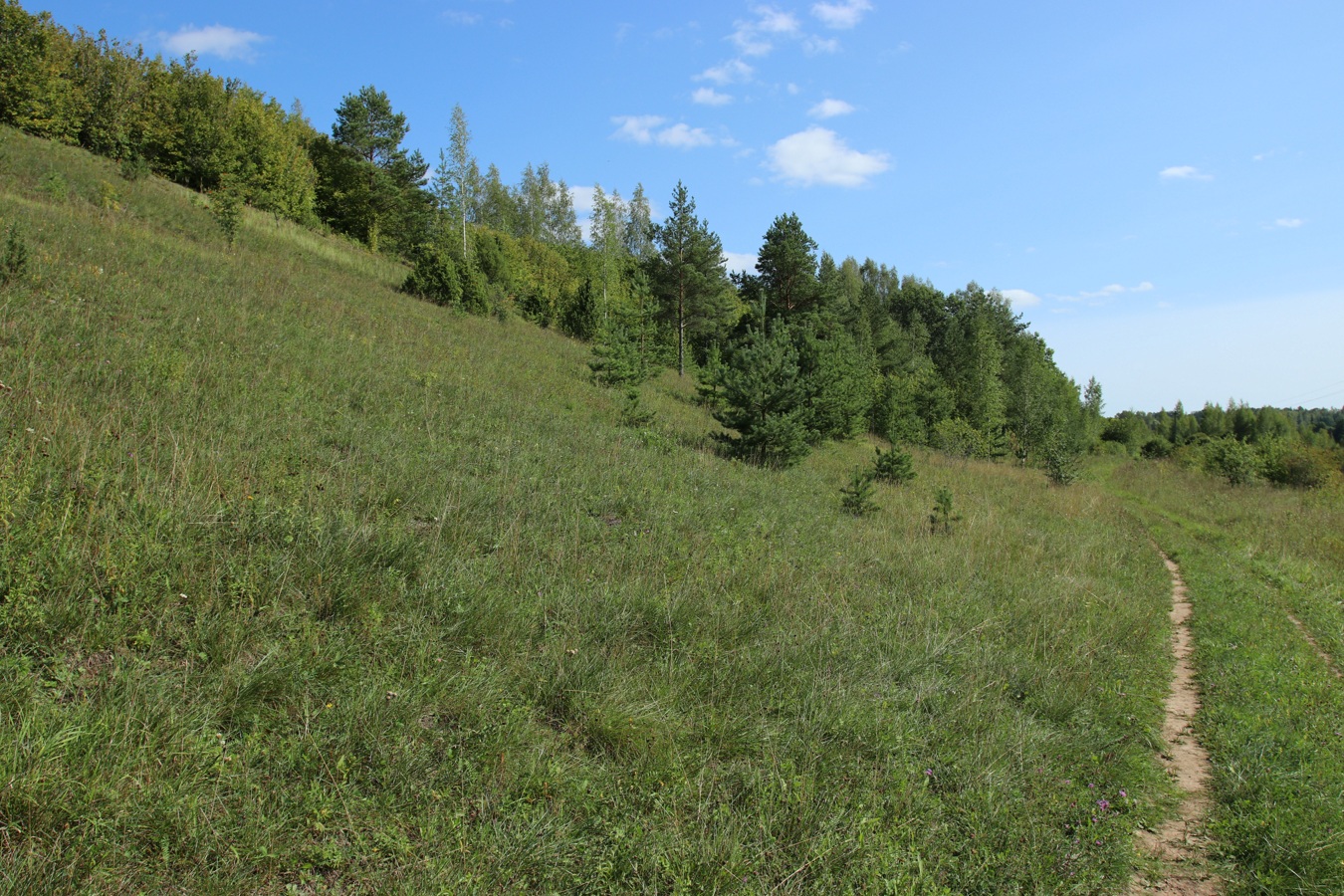 Изборско-Мальская долина, image of landscape/habitat.
