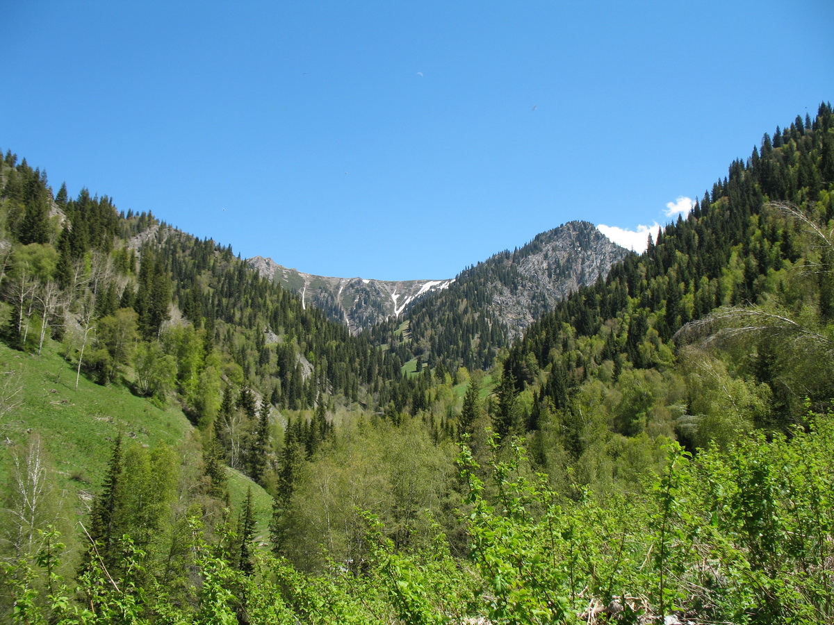 Ущелье Текели, image of landscape/habitat.