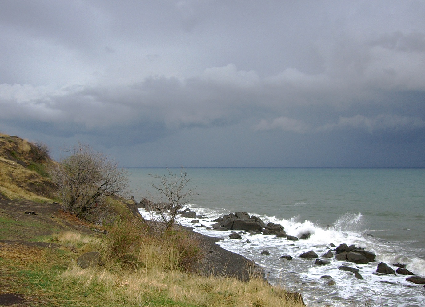 Малореченское и окрестности, image of landscape/habitat.