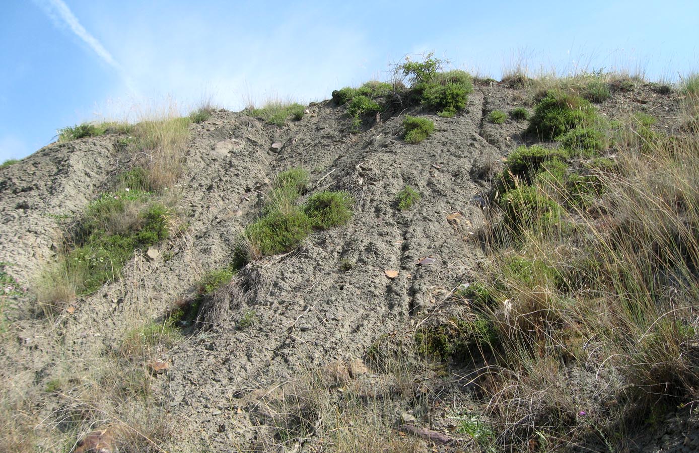 Лисья бухта, image of landscape/habitat.