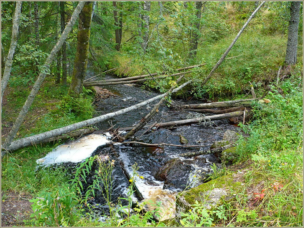 Экопоселение "Ясное", image of landscape/habitat.