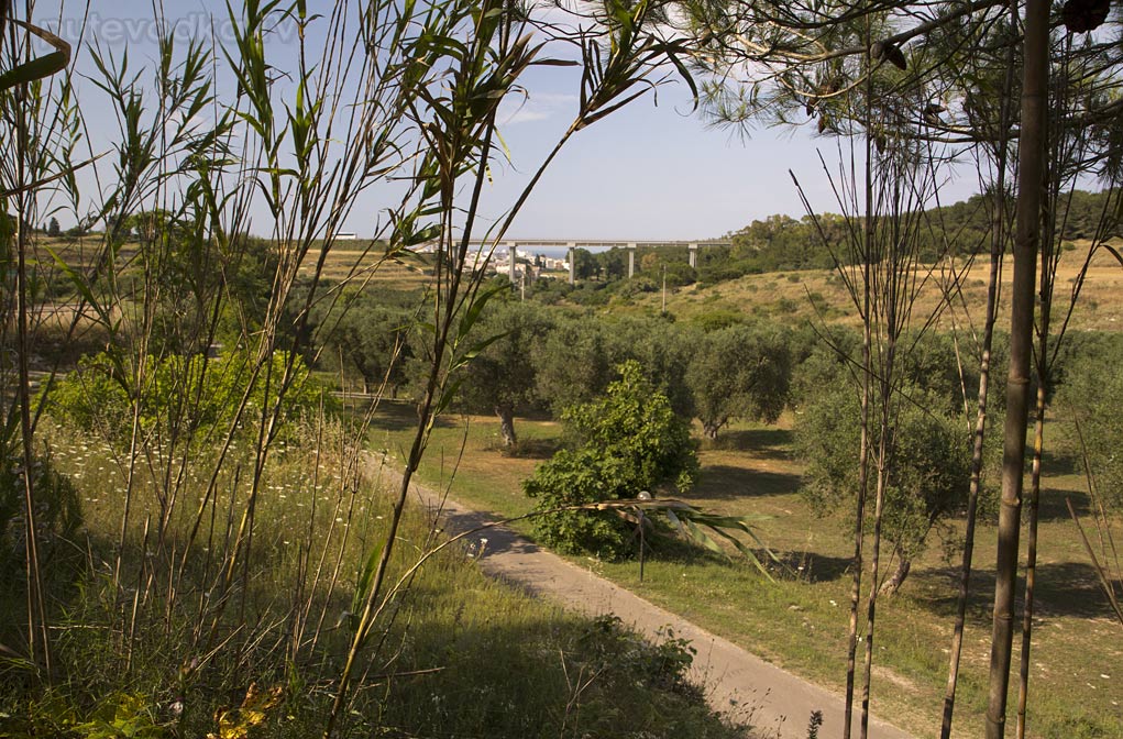 Отранто, image of landscape/habitat.