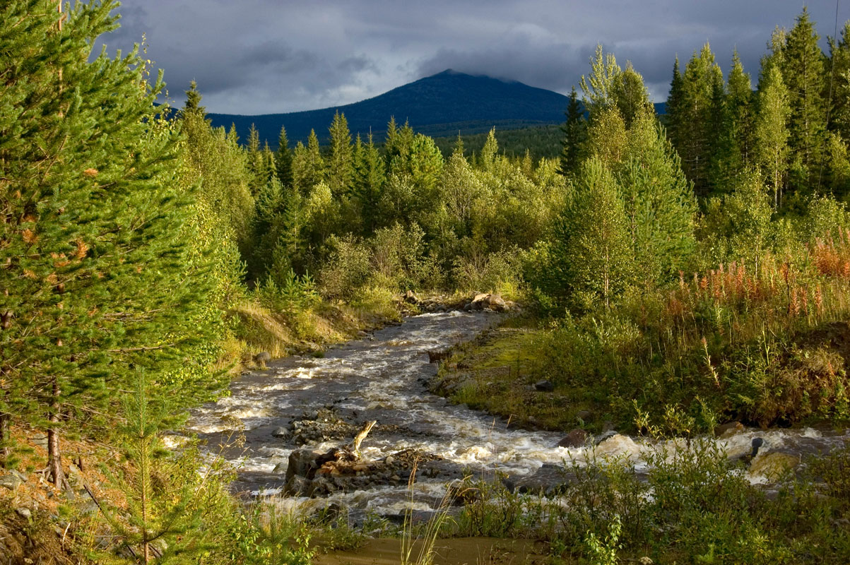 Окрестности поселка Кытлым, image of landscape/habitat.