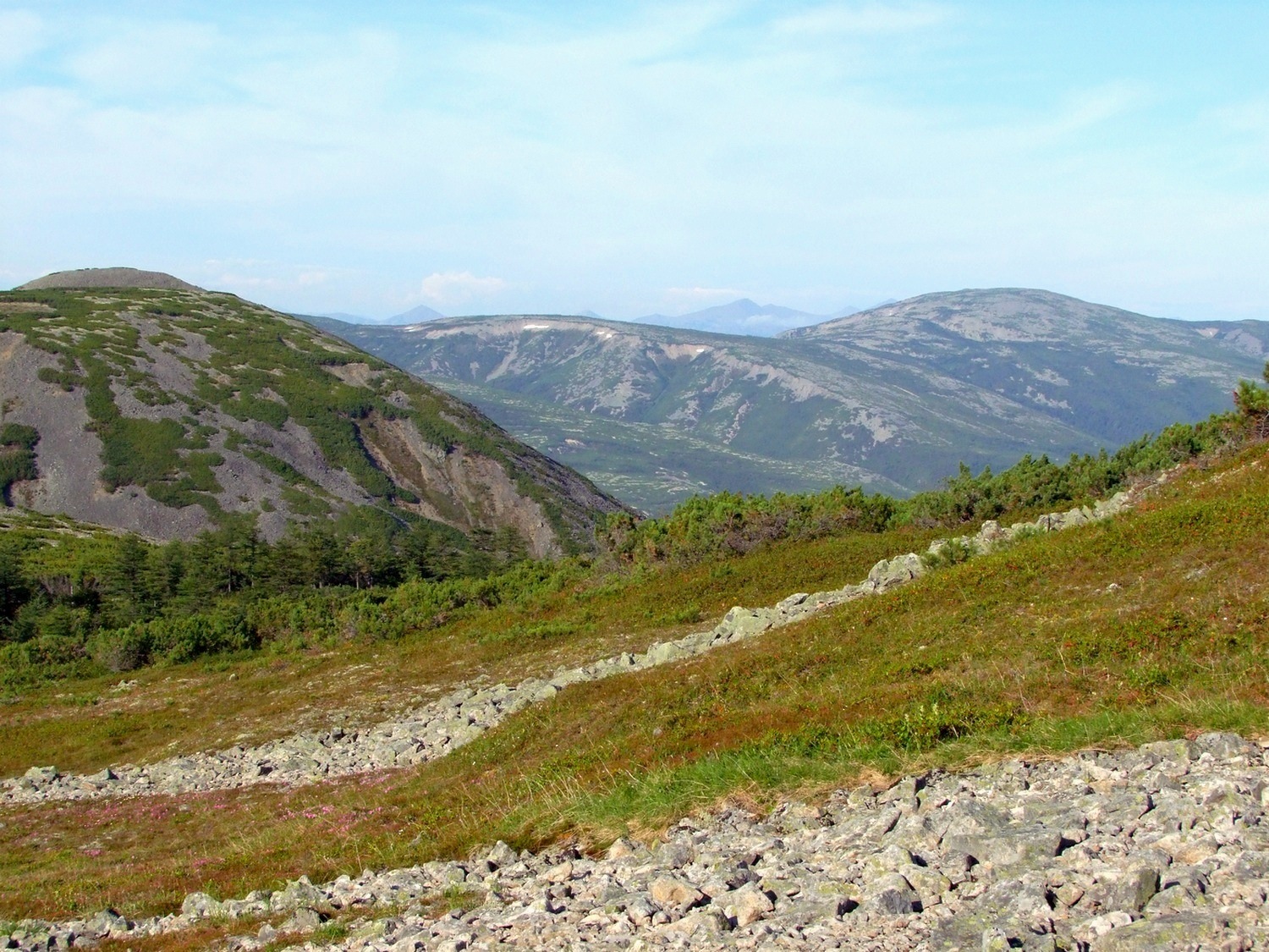 Водораздел Дукчи и Омчика, image of landscape/habitat.
