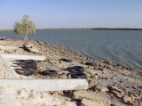 Image of landscape