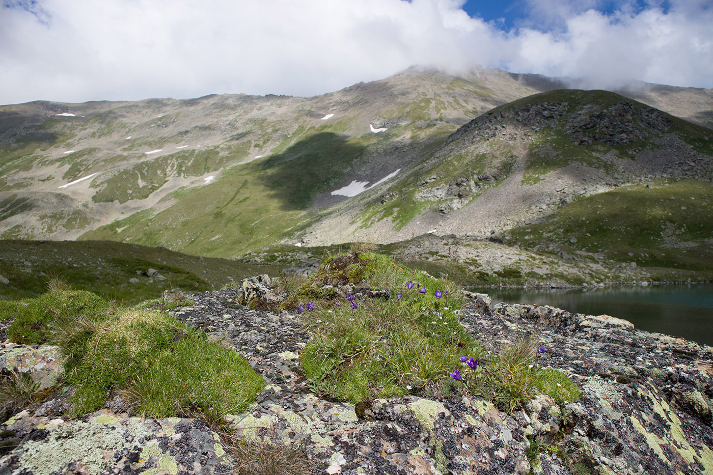 Озеро Тихое, image of landscape/habitat.