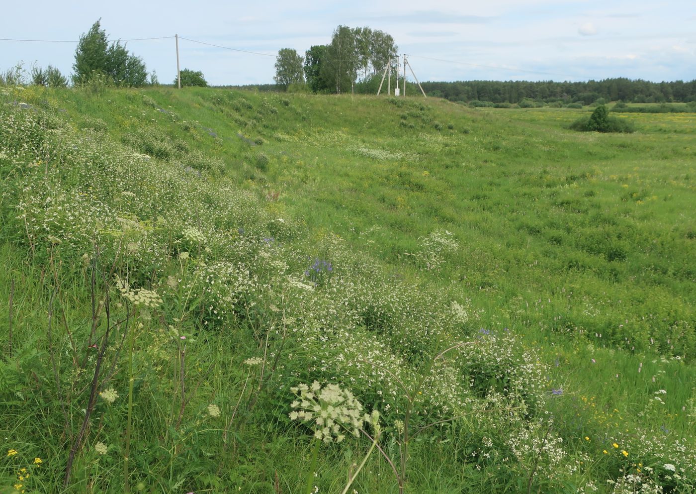 Дуденёвский заказник и р. Тьма, image of landscape/habitat.