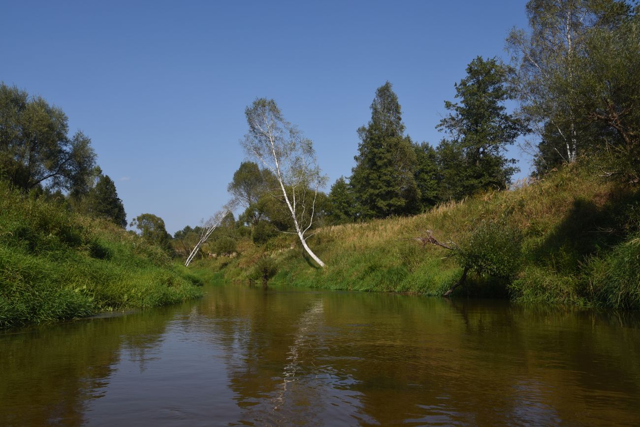 Красногорьевский мост, изображение ландшафта.