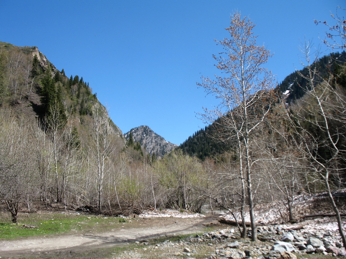 Ущелье Текели, image of landscape/habitat.