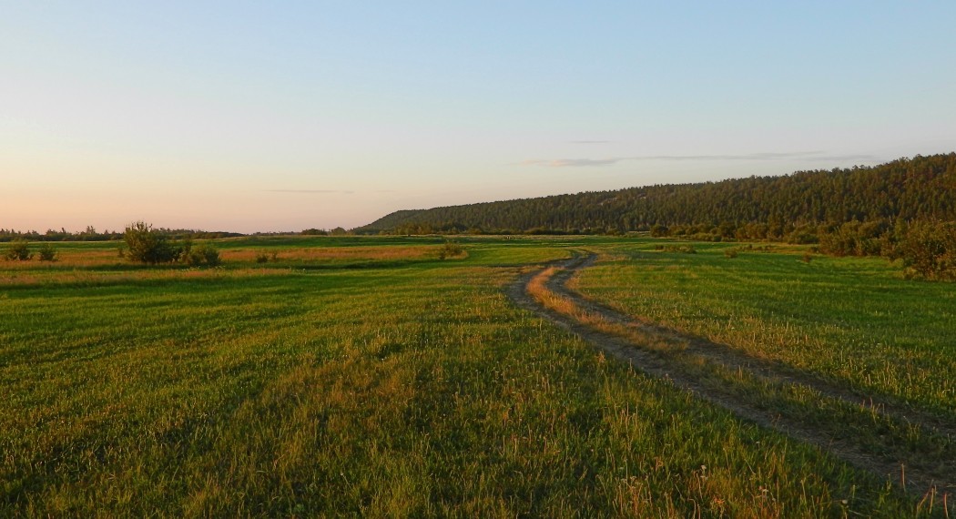 Нижний Бестях, image of landscape/habitat.