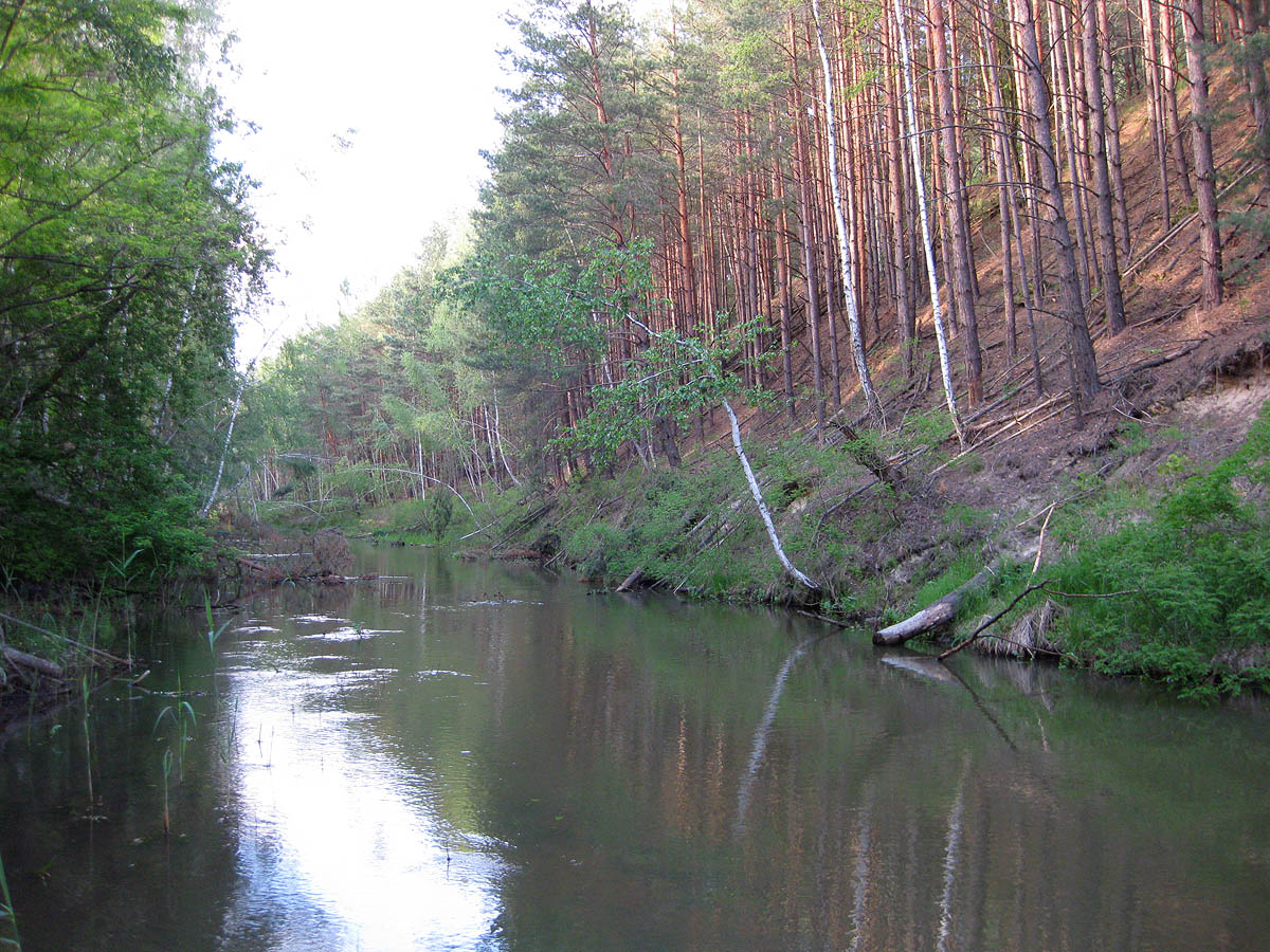 Лебедёвка, image of landscape/habitat.