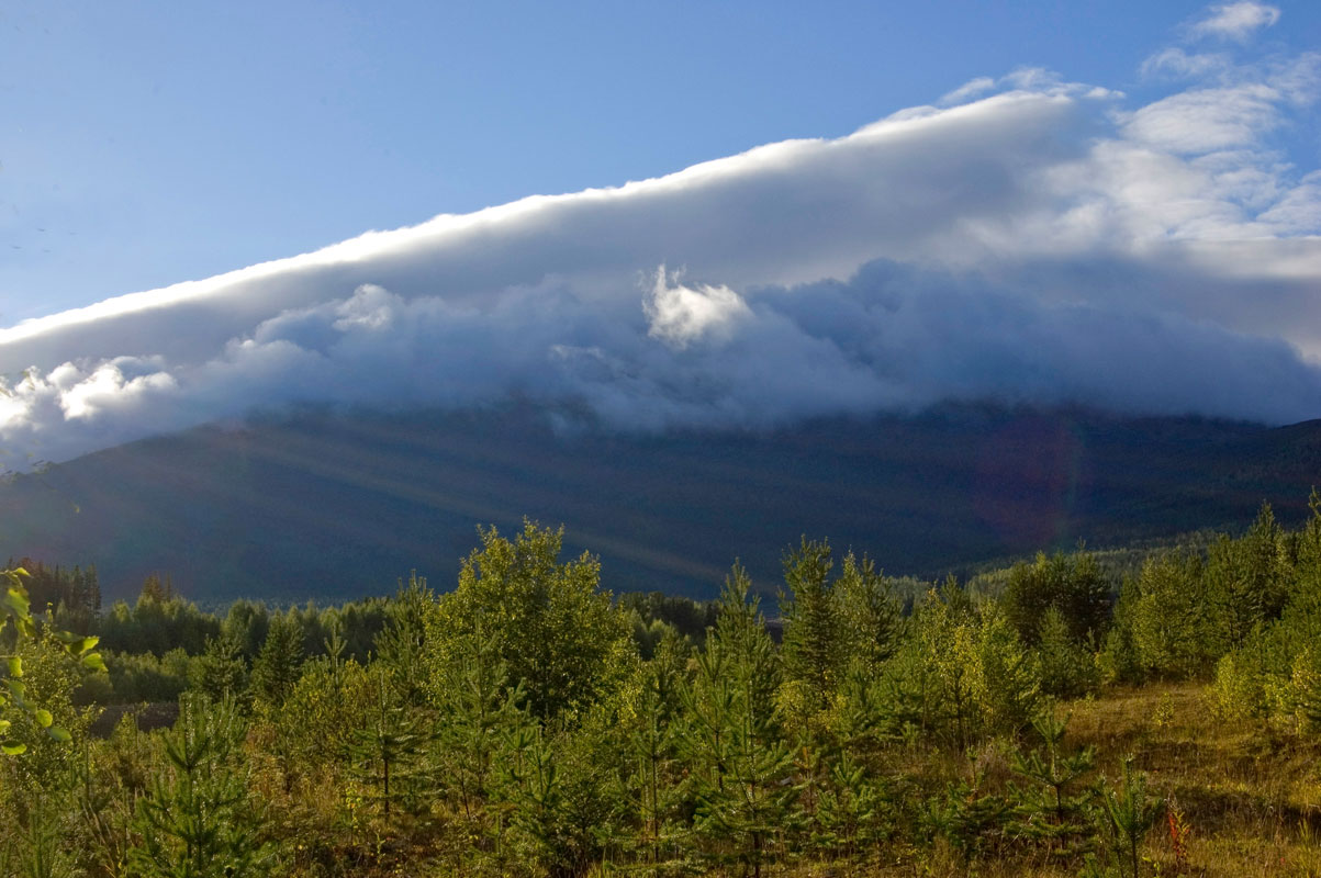 Окрестности поселка Кытлым, image of landscape/habitat.