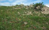 Image of landscape