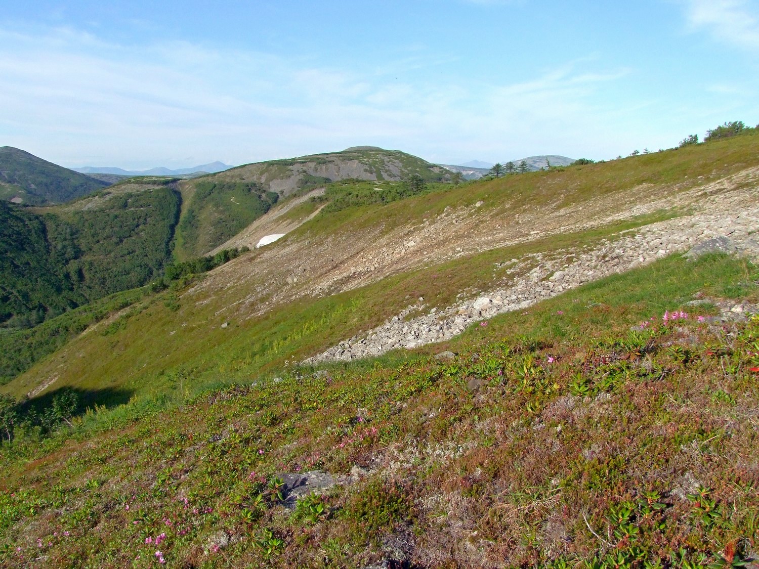 Водораздел Дукчи и Омчика, image of landscape/habitat.