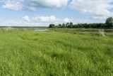 Image of landscape