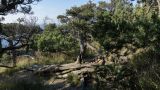 Landscape image