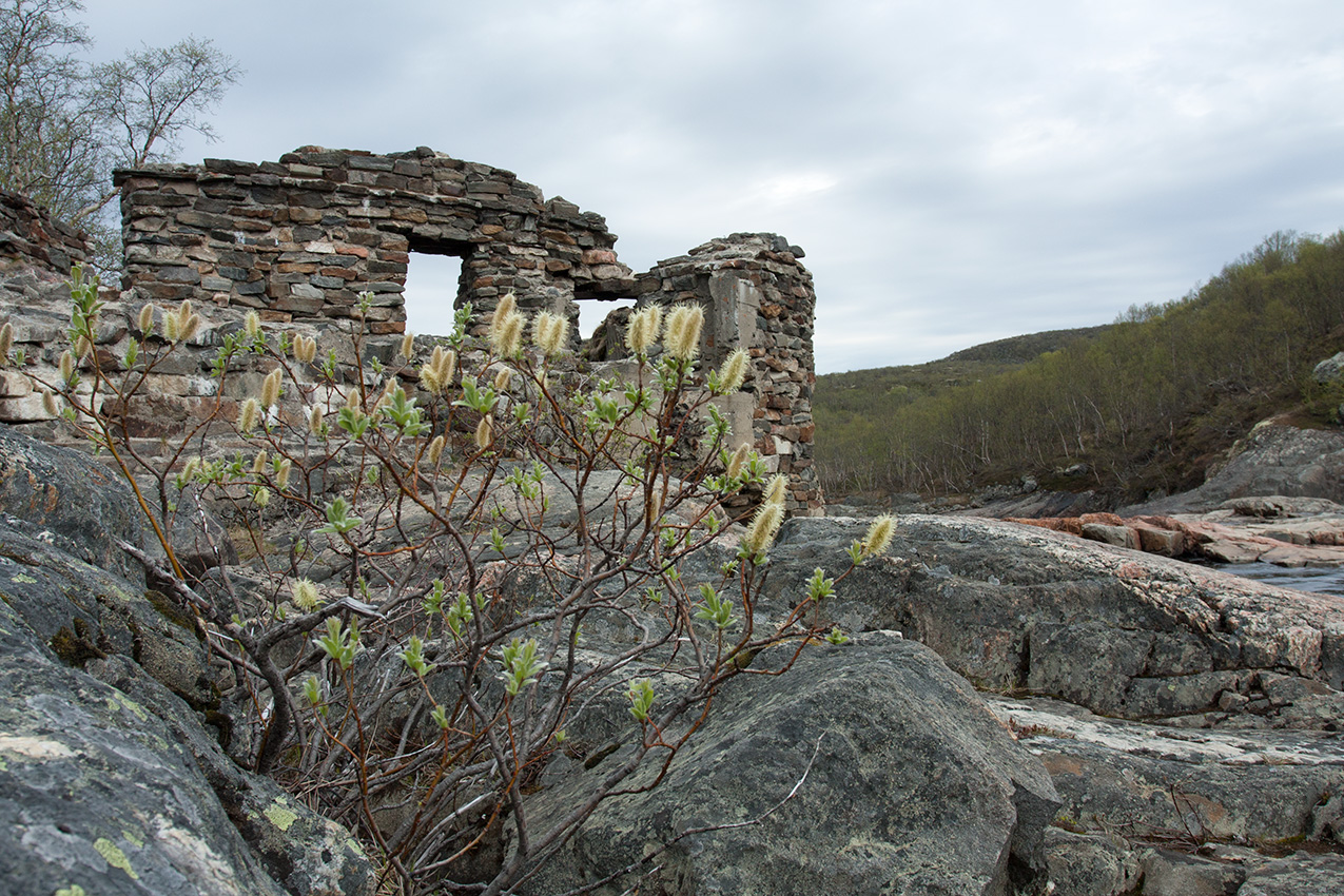 Мельничные водопады, image of landscape/habitat.