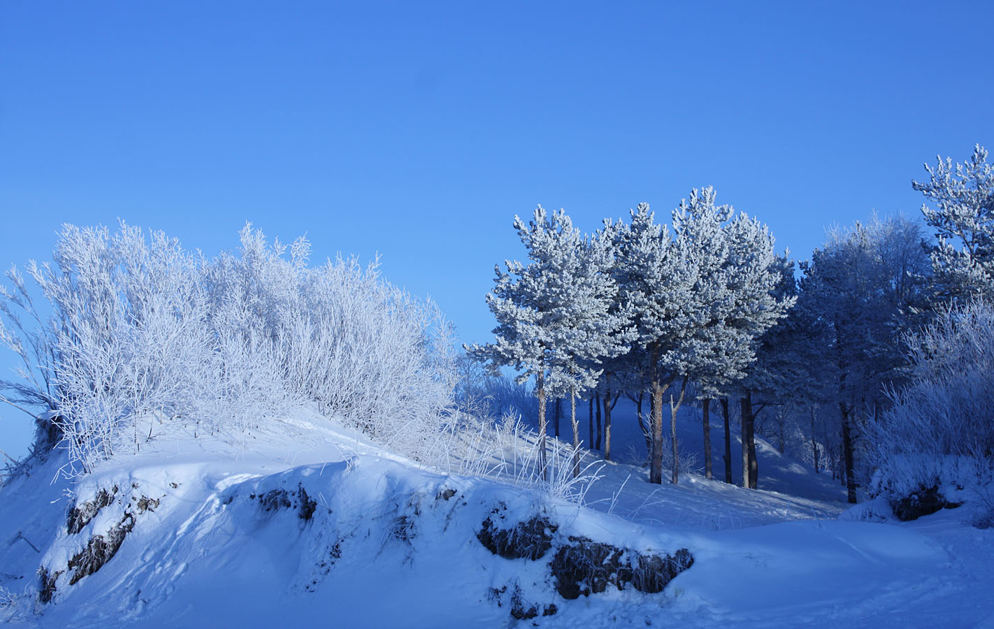 Ягры, image of landscape/habitat.