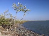 Image of landscape
