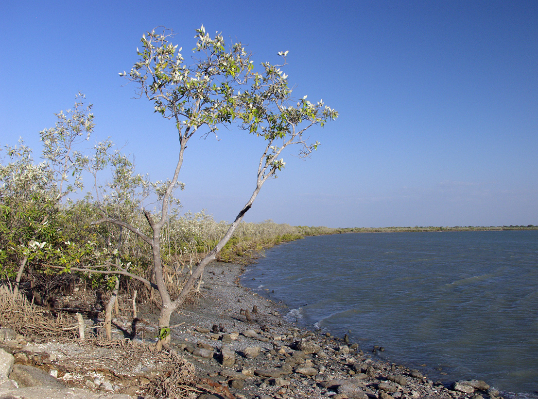 Karumba и окрестности, image of landscape/habitat.