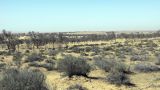 Image of landscape