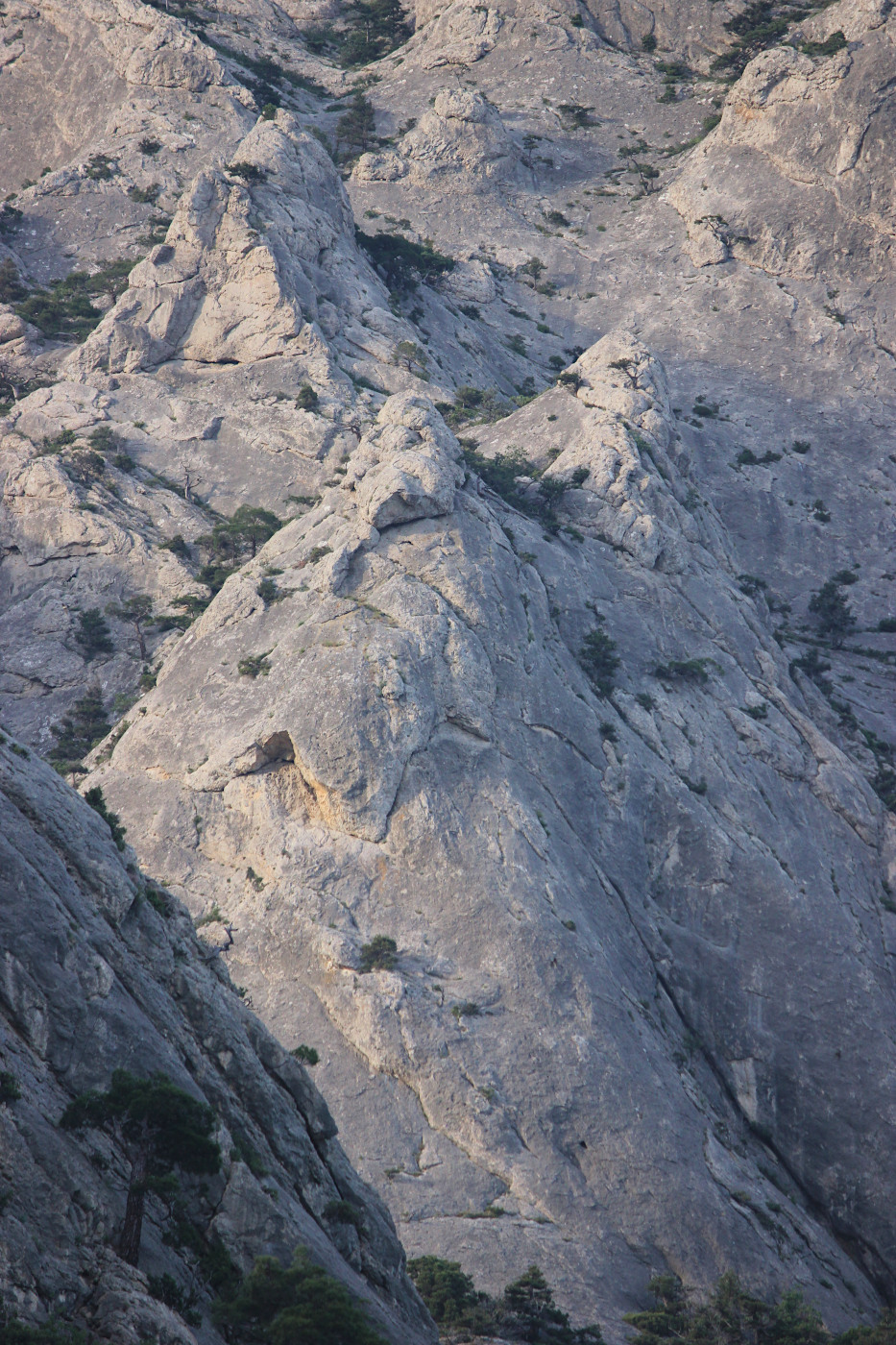 Сокол, image of landscape/habitat.