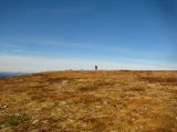 Image of landscape