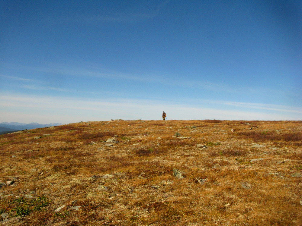 Локаторная гора, image of landscape/habitat.