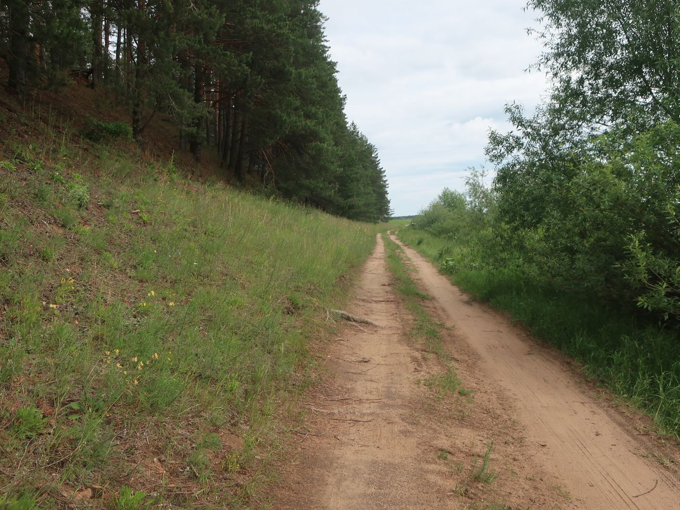 Дуденёвский заказник и р. Тьма, image of landscape/habitat.