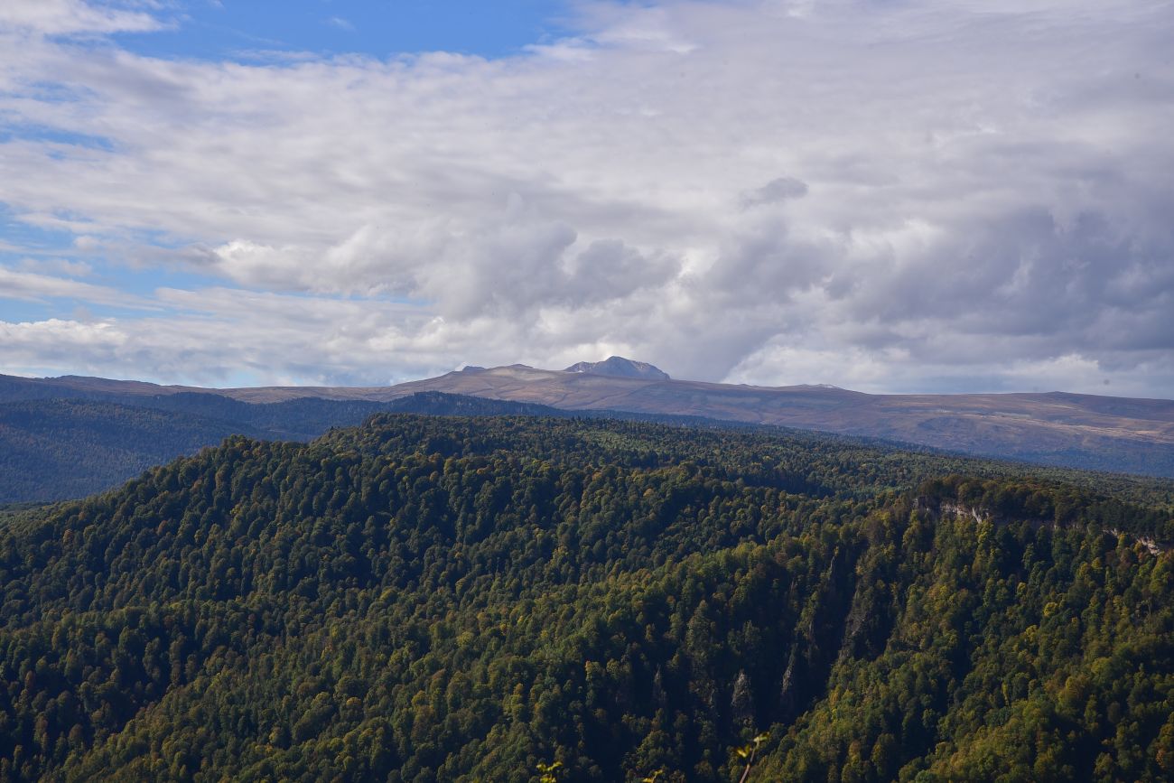 Оштен, image of landscape/habitat.