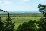 Нижний Бестях, image of landscape/habitat.