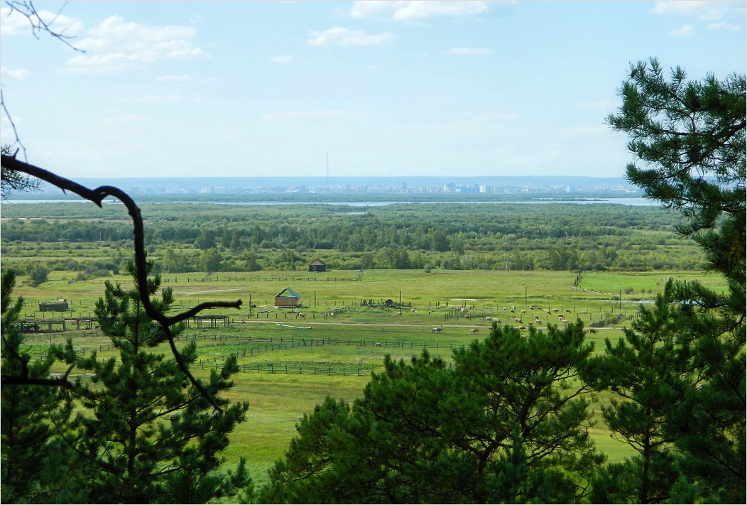 Нижний Бестях, image of landscape/habitat.