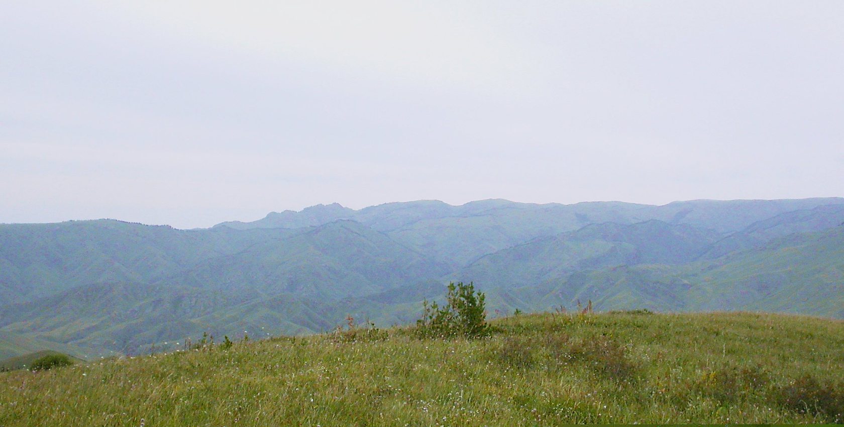 Туюк, image of landscape/habitat.