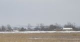 Image of landscape