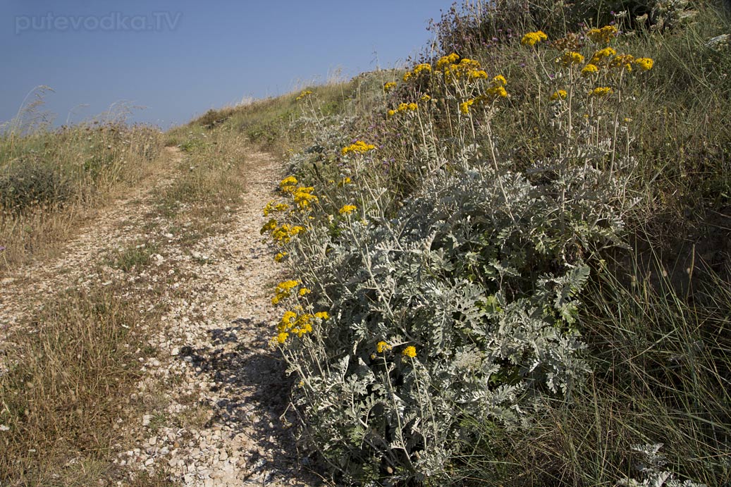 Отранто, image of landscape/habitat.